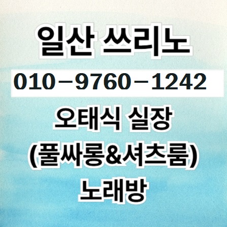일산풀싸롱 일산룸싸롱 일산요정집,일산비지니스룸,일산접대 일산술집 일산유흥,일산노래방